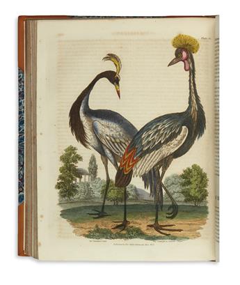 BUFFON, GEORGES LOUIS LECLERC, Comte de.; and SMELLIE, WILLIAM, ed. A Natural History, General and Particular;